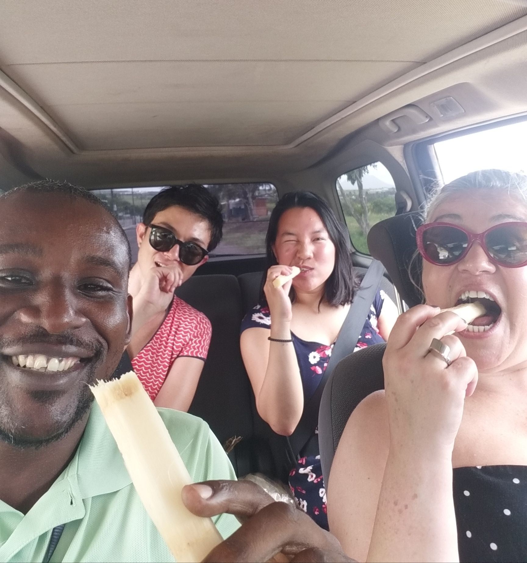 a happy group eats freshly cut sugarcane stalks while sitting in a vehicle